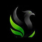 Phoenix ONE mark